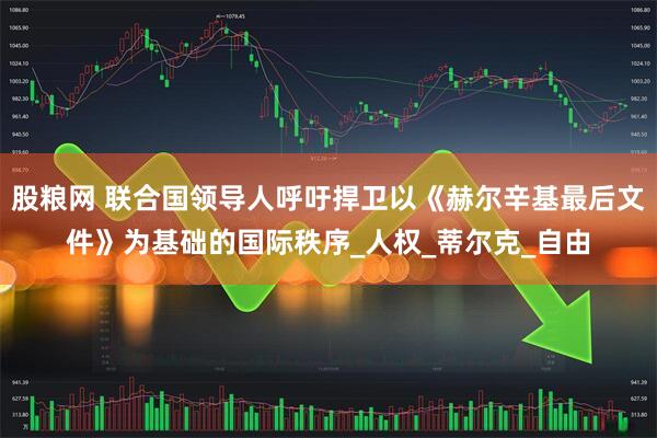 股粮网 联合国领导人呼吁捍卫以《赫尔辛基最后文件》为基础的国际秩序_人权_蒂尔克_自由
