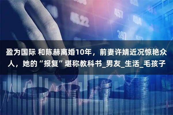 盈为国际 和陈赫离婚10年,前妻许婧近况惊艳众人,她的“报复”堪称教科书_男友_生活_毛孩子