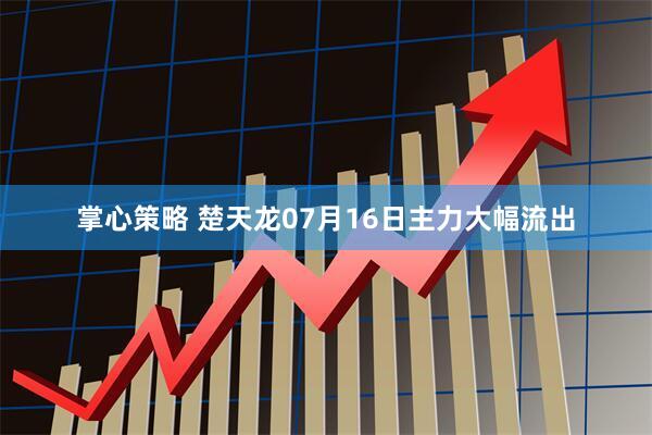 掌心策略 楚天龙07月16日主力大幅流出