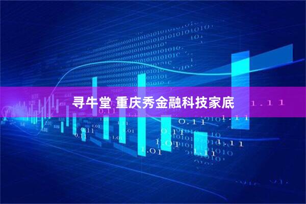 寻牛堂 重庆秀金融科技家底