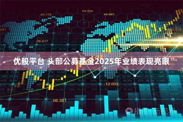 优股平台 头部公募基金2025年业绩表现亮眼