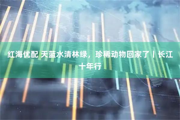 红海优配 天蓝水清林绿,珍稀动物回家了丨长江十年行